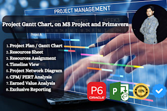 create project gantt chart on ms project or primavera