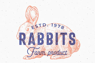 create a fantastic rabbit logo design
