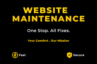 fix, secure, and maintain your website