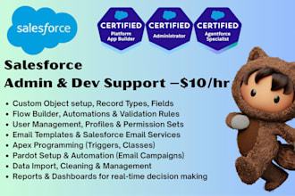 provide salesforce admin or developer support at 10 dollars per hour