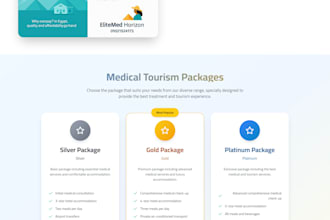 create professional landing page