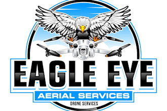 design wonderful drone logo