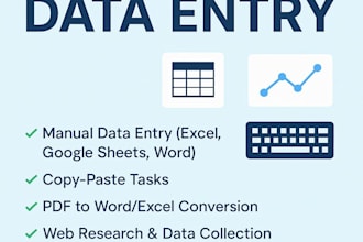 do excel data entry, web research, copy paste faster