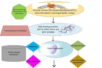 do scientific writing, modeling and editing