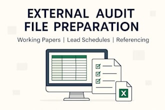 prepare external audit working papers and lead schedules professionally