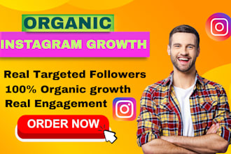 do professional instagram promotion for fast growth