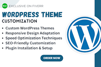 fix, update wordpress issue, speed errors and wp customization services