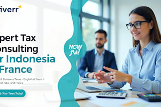 prepare personal or business tax filing for france and indonesian tax