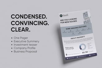 design condensed one pager executive summary report investment teaser