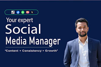 be your social media manager for facebook,instagram,x