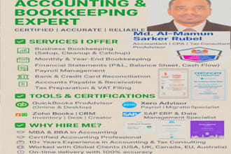 provide expert income tax vat accounting services