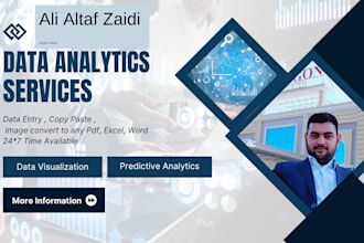 do professional data analytics and visualization