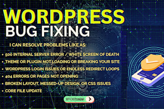 fix wordpress issues, fix wordpress errors, fix wordpress website