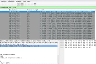 do a cybersecurity tasks and vulnerability assessments