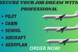 professional resume CV for aviation, airline school, pilot, cabin crew job