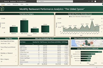 create professional power bi dashboards, interactive and dynamic reports
