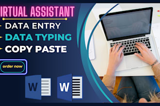 do accurate data typing, file conversation and retype documents services