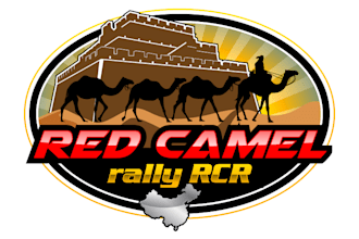 do modern high quality gorgeous camel logo