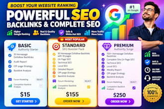 provide monthly seo service for top ranking