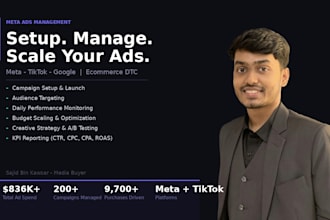 run and optimize meta and tiktok ads