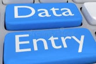 manage your data with expert ms excel