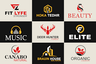 design a professional logo, brand identity, and brand kit