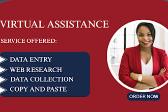 be your virtual assistant for data entry, data mining, and web research