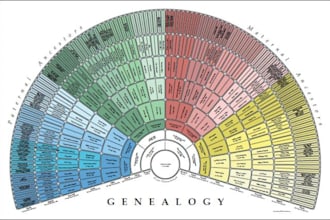 research your family tree