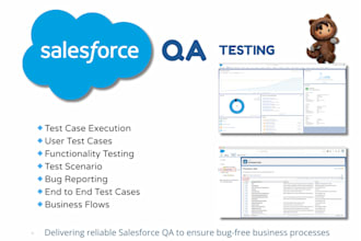 do salesforce QA manual testing