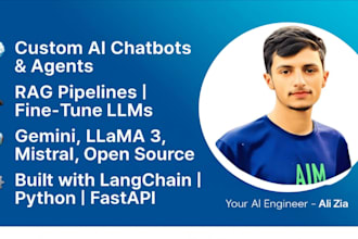 customs ai chatbots, rag systems and fine tune llms