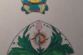 illustration botanique  botanical drawing