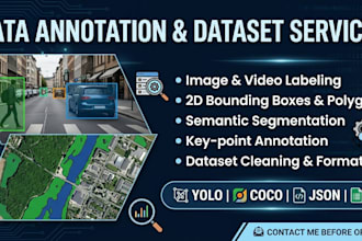 collect annotate and preprocess dataset for machine learning