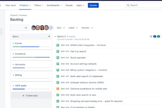 be your expert IT and software project manager