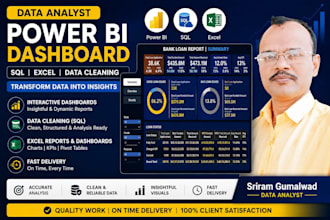 create professional power bi dashboards and data analysis