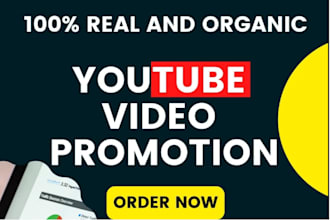 do USA youtube channel promotion,short video grow subscription for monetization