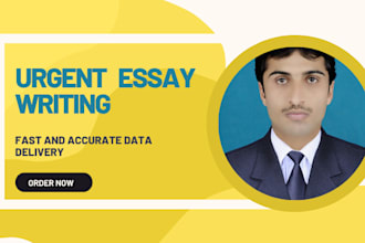 write essays,reports and summaries