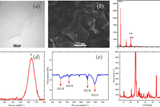 provide data analysis and scientific graph plotting services