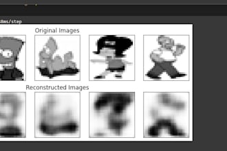 build neural networks, CNN models, encoder and autoencoder