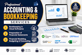 provide professional bookkeeping and financial accounting services