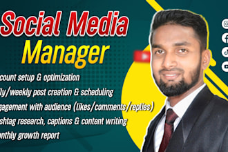 be your social media manager with ad campaigns