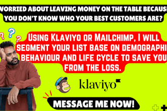 segment your list base on demographic behaviour live circle in mailchimp klaviyo
