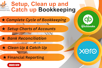 do setup, clean up, catch up bookkeeping in qbo and xero