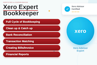 do xero cleanup and bank reconciliation