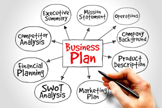 develop a comprehensive business plan with full financial model