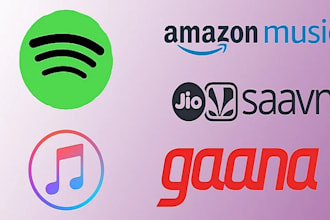 promote organic music on spotify, amazon and apple music