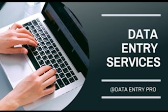 do fast and accurate data entry in excel and word