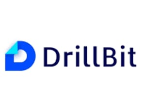 do drillbit plagiarism checking and ai similarity report