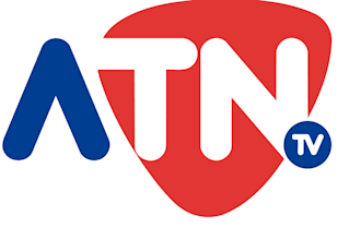 design a professional and eye catching TV or media logo