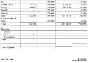 create automated excel reports and dashboards