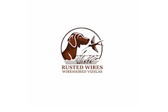 design rusted wires wire haired dog breeder logo